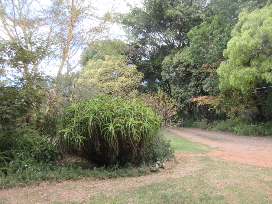 3 Bedroom Property for Sale in Bathurst Eastern Cape